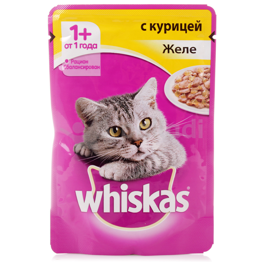 Вискас. Корм д/кошек Whiskas 85г рагу курица. Корм для кошек Whiskas с курицей 85 г. Вискас рагу курица 85гр. Вискас влажный корм для кошек.