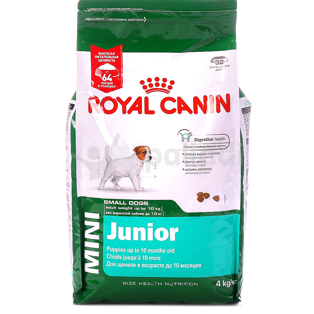 Royal canin best sale mini junior