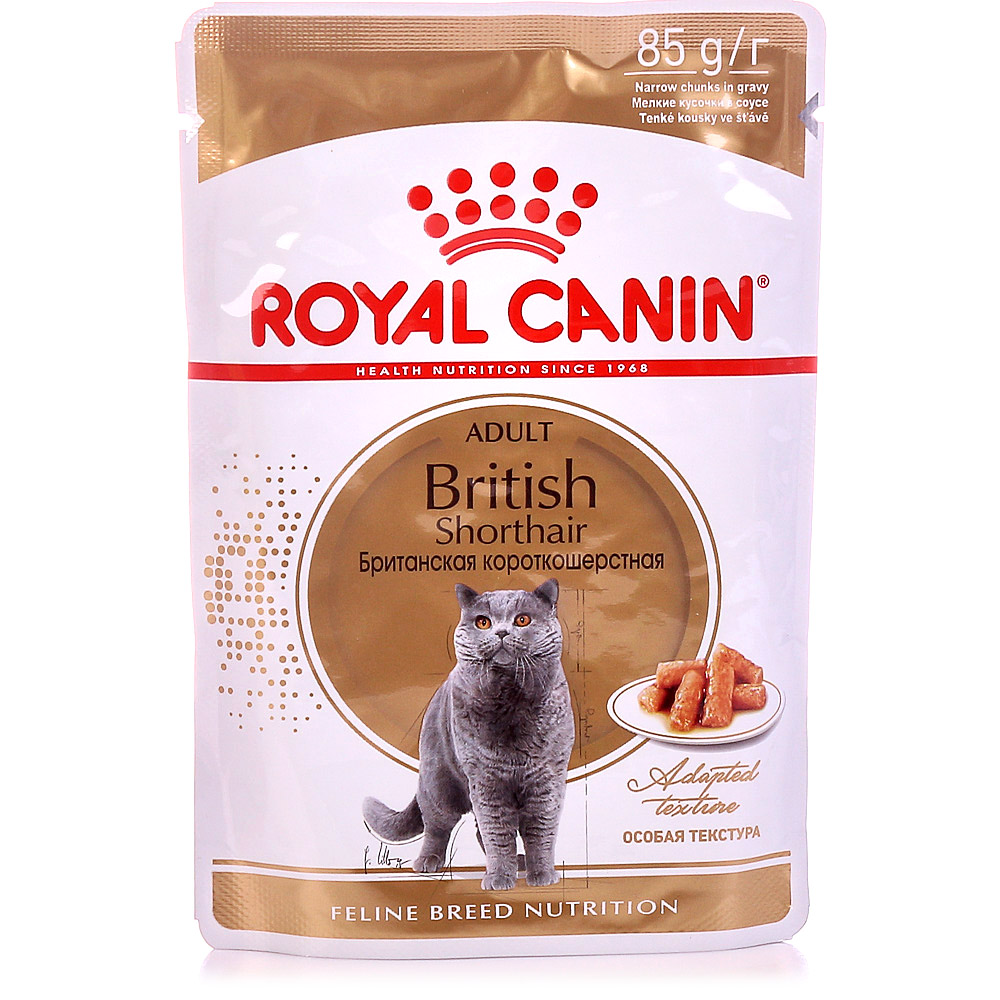 Royal canin кусочки в соусе. Роял Канин для кошек British. Роял Канин для кошек британцев. Сухой корм Роял Канин для британцев. Корм Роял Канин для британских кошек.