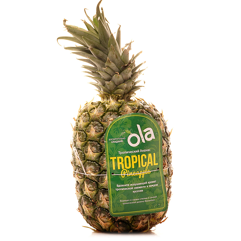 ананасы 0. рич ананас 0. русский ананас. ананас пальмович. ананас в южной америке.