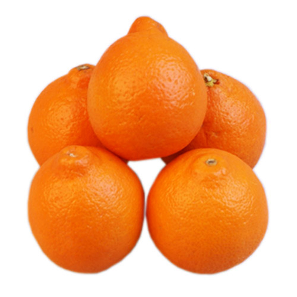 Мандарины минеола. Сорт мандарин Минеола. Минеола фрукт. Минеола это гибрид. Гибрид мандарина и апельсина Минеола.