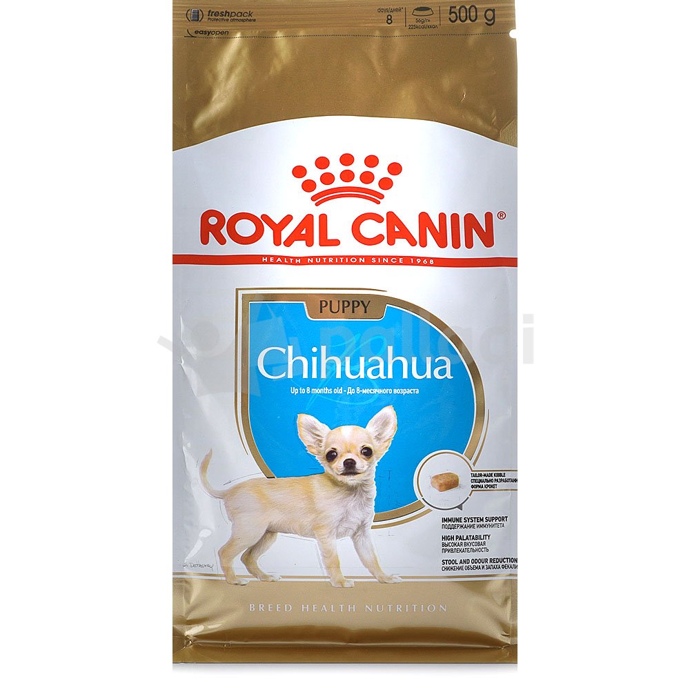 Royal canin hotsell chihuahua junior