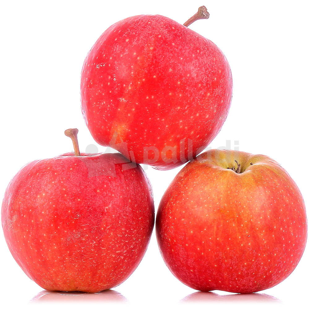 Яблоки Гала Фото