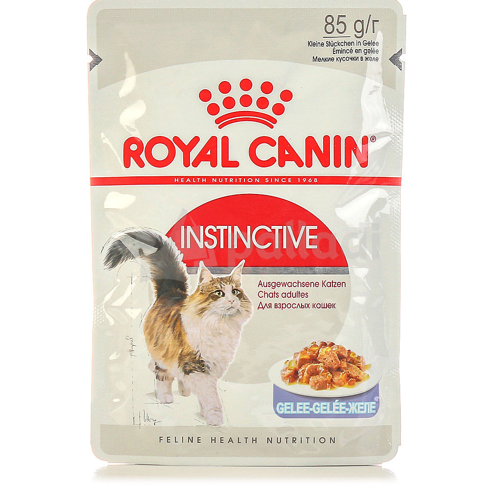 Royal canin 12 для кошек. Роял Канин пауч Инстинктив желе. Роял Канин пауч Инстинктив соус. Роял Канин пауч Instinctive в желе. Royal Canin Instinctive в соусе.
