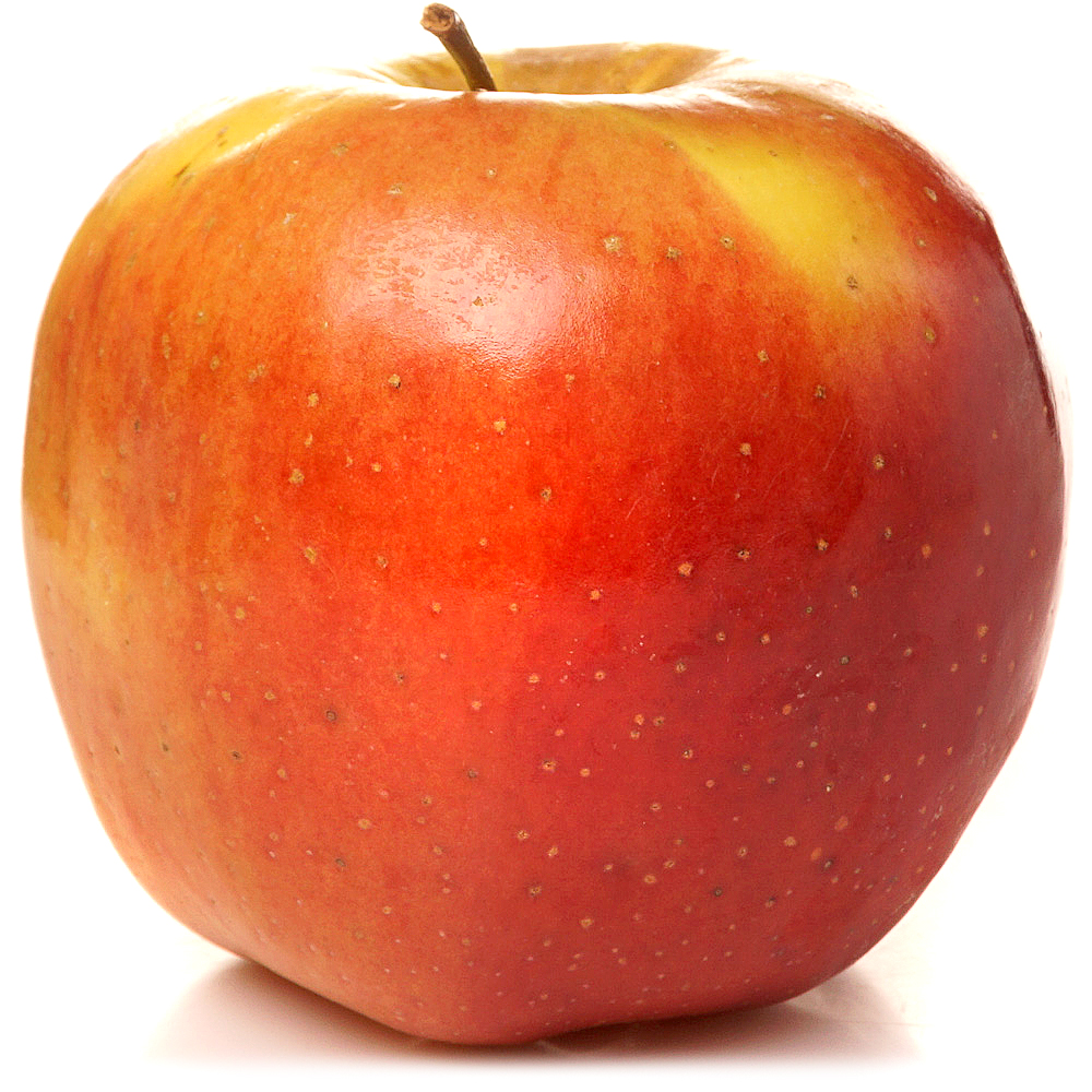 Яблоки амброзия. Сорт яблок амброзия. Сорт яблони амброзия. Яблоко без фона. Сорт яблок амброзия фото.
