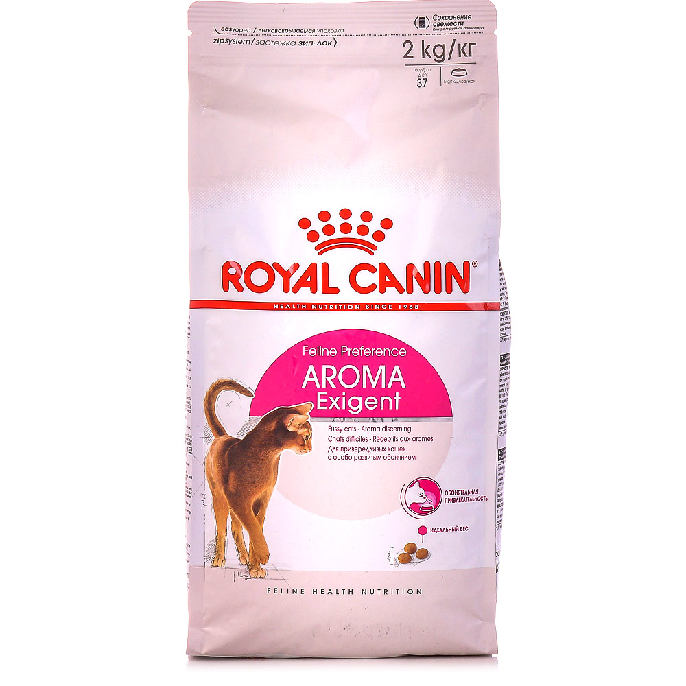 Royal canin для кошек. Royal Canin Aroma exigent для кошек. Роял Канин Сэйвор Экзиджент. Роял Канин Арома Эксиджент для привередливых. Сухой корм Royal Canin Aroma exigent 33 для привередливых взрослых кошек.