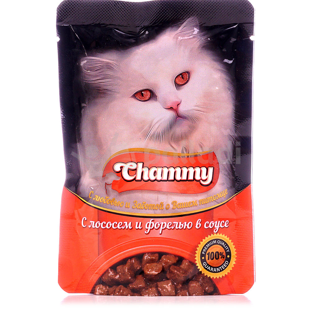 Лосось для кошки. Корм для кошек Chammy 85 гр. Корм для кошек 100 гр Chammy. Chammy корм для кошек влажный 100гр. Корм для кошек Chammy мясное ассорти 85 г.