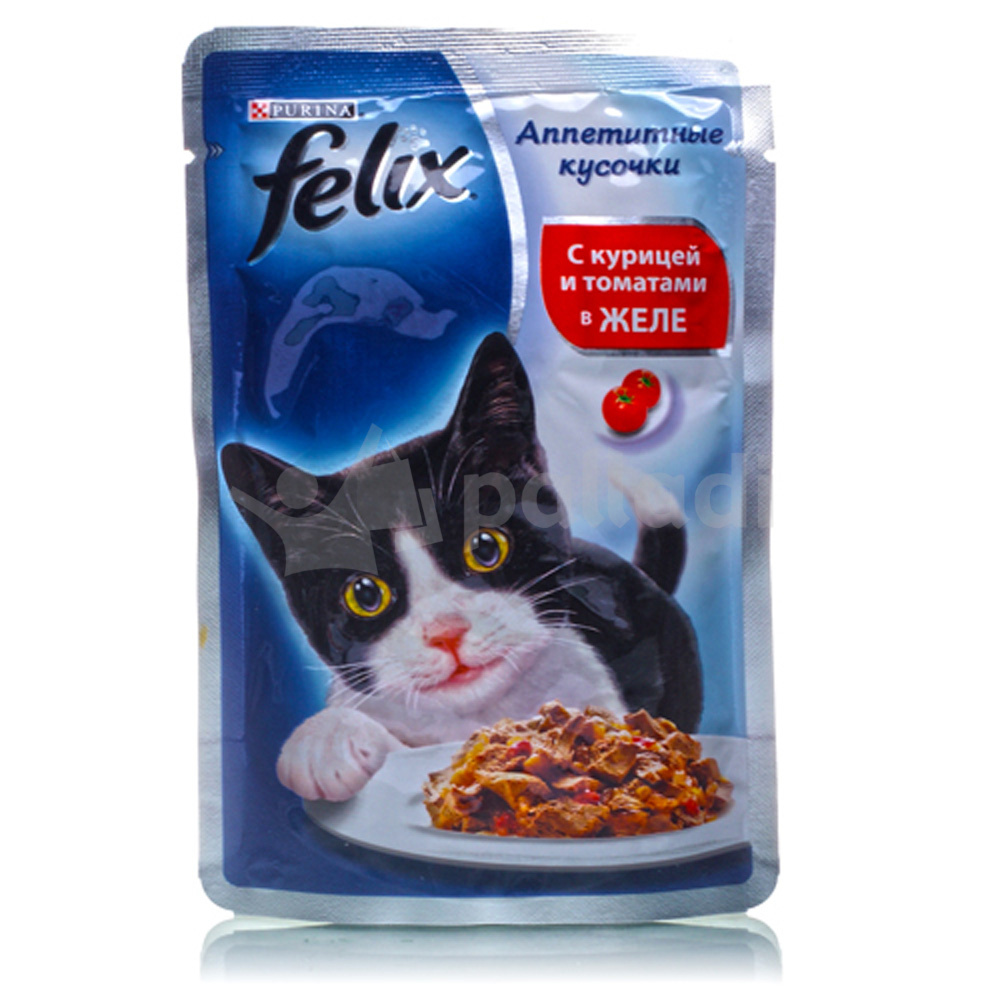 Феликс корм для кошек. Корм felix sensations 85г. Корм феликс сенсейшн. Феликс пауч для котят. Корм влажный пурина феликс 85гр.
