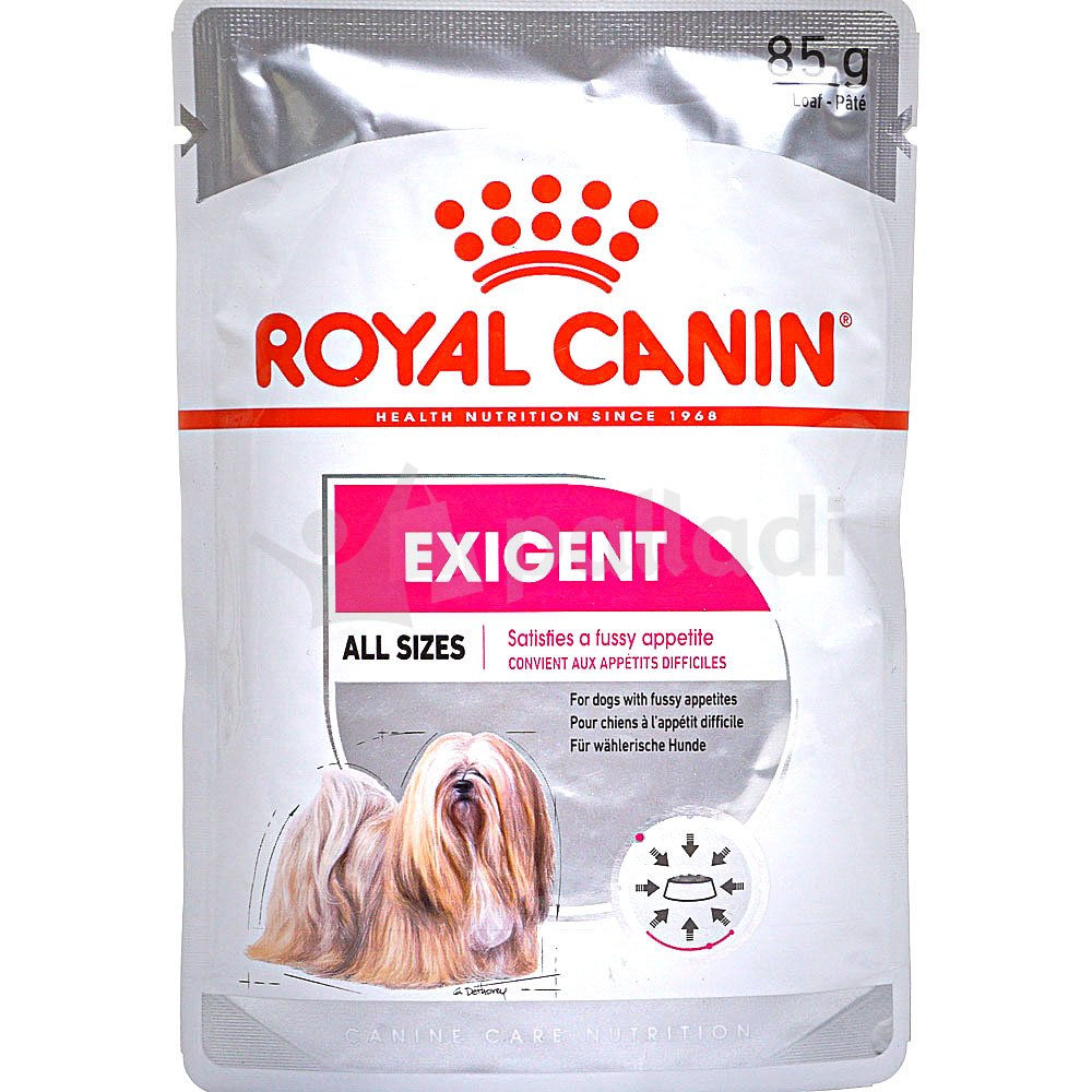 Корм для собак royal canin mini. Роял Канин Эксиджент для собак. Корм для собак Роял Канин для привередливых собак. Роял Канин Эксиджент мини 3кг для собак. Роял Канин exigent для собак.