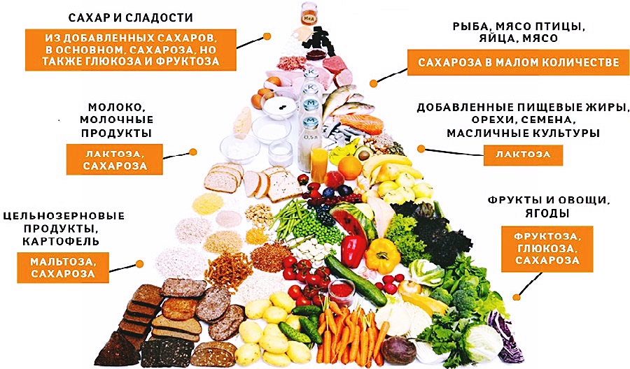 Диета для похудения и рацион правильного питания на неделю – ДОН-Спорт