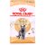 Royal Canin British Shorthair Сухой корм для короткошерстных кошек 400г