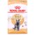 Royal Canin British Shorthair Сухой корм для короткошерстных кошек 400г