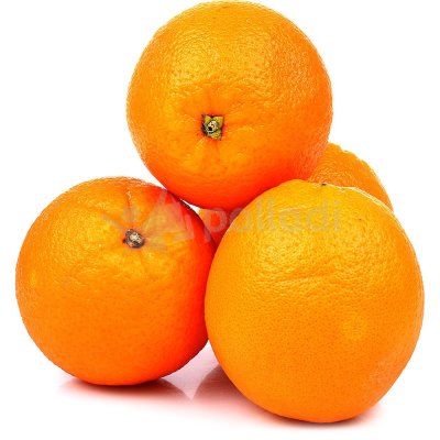 Апельсины 0,95кг Египет
