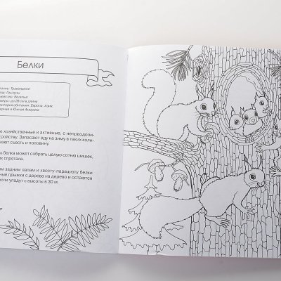 Раскраска-Энциклопедия Животные 48л арт. 106983-4