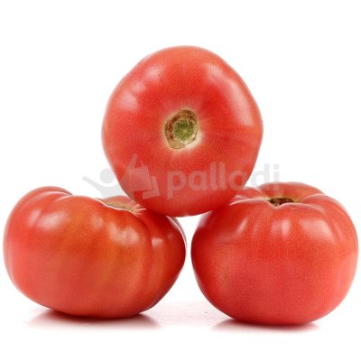 Помидоры КФХ Остров 0,6кг* очень вкусные