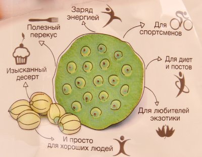 Плоды лотоса запеченные в сиропе 60г 