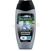 Гель для душа PALMOLIVE  Men 3в1 Арктический ветер 250мл