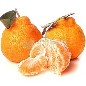 Мандарины Халабон 0,95кг Мандарины Халабон 0,95кг