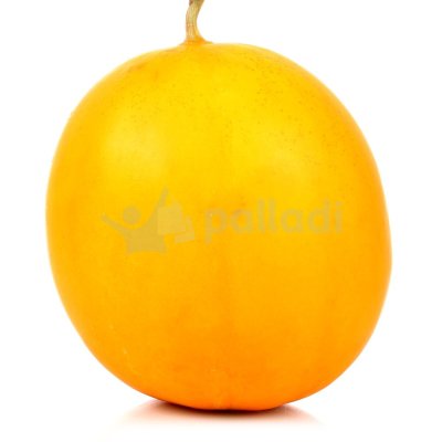 Дыня круглая 2,55кг