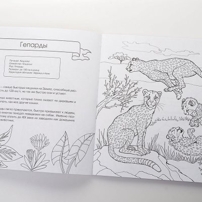 Раскраска-Энциклопедия Животные 48л арт. 106983-4