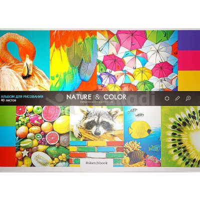 Альбом для рисования на скрепке 40л NATUR end COLOR арт. 26234