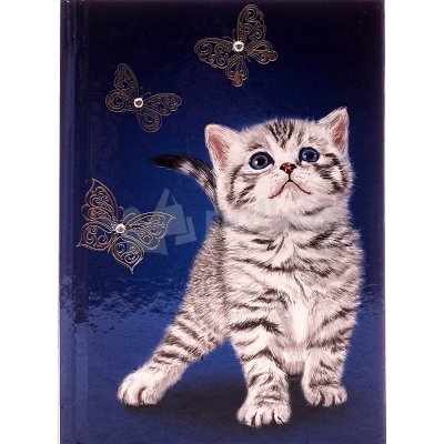 Записная книжка Феникс+  Котёнок А6 160стр 38882