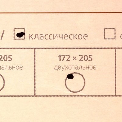 Одеяло Золотое Руно 2-х спальное 172 х 205 см Экотекс