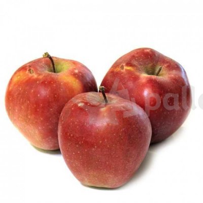 Яблоки Глостер 0,55кг 2сорт