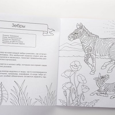 Раскраска-Энциклопедия Животные 48л арт. 106983-4