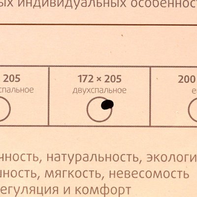 Одеяло Лебяжий пух 2-х спальное 172 х 205 см Экотекс