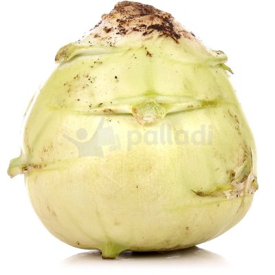 Капуста кольраби 1,3кг Тепличный 2сорт