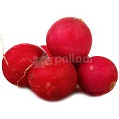 Редис КФХ Остров 300г 