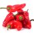 Перец грунтовой 0,5кг красный 2сорт