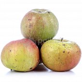 Яблоки зимние 1,05кг 2сорт зеленые *Социальный товар