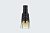GOLD LUST ALL OVER OIL HAIR