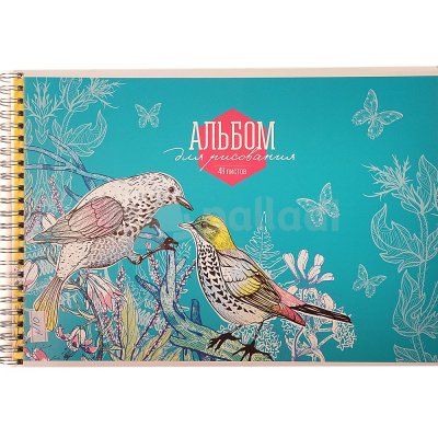 Альбом для рисования ArtSpace Цветы и Птицы 48л А48сп_14494