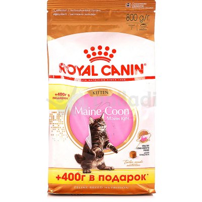 Royal Canin Kitten Maine Coon Корм для котят породы Мэйн Кун 400гр+400гр в подарок
