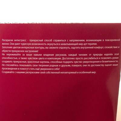 Раскраска Антистресс Дудлы А4 Квадра